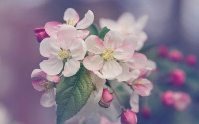 From Those Who Have Been There: Suggestions for Those with BPD with some Advice for Their Treatment Providers