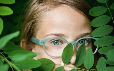 Paying Attention to Vulnerability Factors