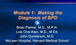 Module 1 - Making the diagnosis of BPD Module 1 - Making the diagnosis of BPD