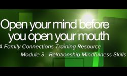 Open Your Mind Before You Open Your Mouth - Module Three - Relationship Mindfulness Skills Open Your Mind Before You Open Your Mouth - Module Three - Relationship Mindfulness Skills